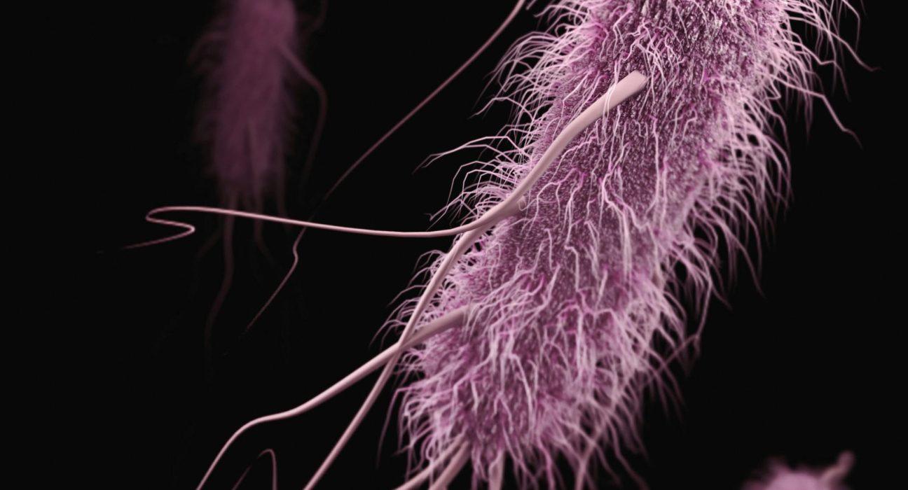 Stanford Evo 2 AI model generates phages against E. coli